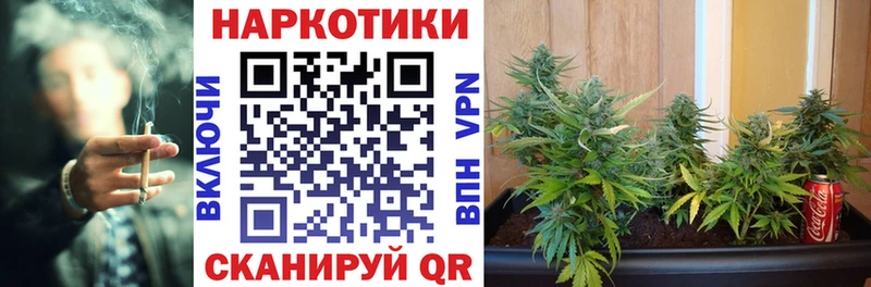 Купить закладку Марихуана  A-PVP  ГАШ  Меф  Галлюциногенные грибы  КОКАИН  Новоржев