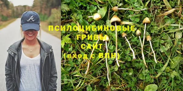 мяу мяу мука Волоколамск