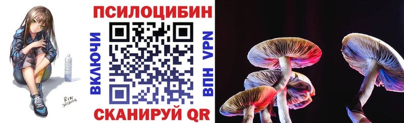 Псилоцибиновые грибы прущие грибы  Купить где  Новоржев 